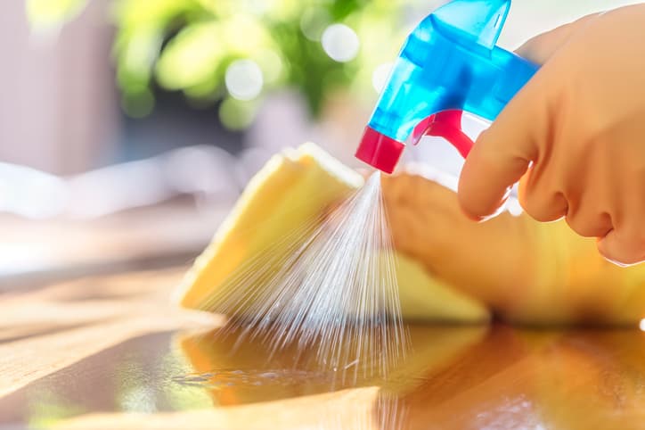 Maid Services
